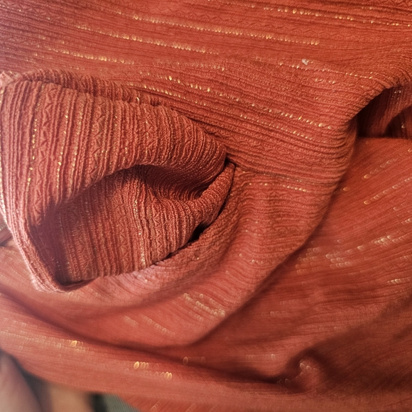 Express Rust Jumpsuit - Picture 8 of 9